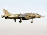 Harrier Pic Gallery